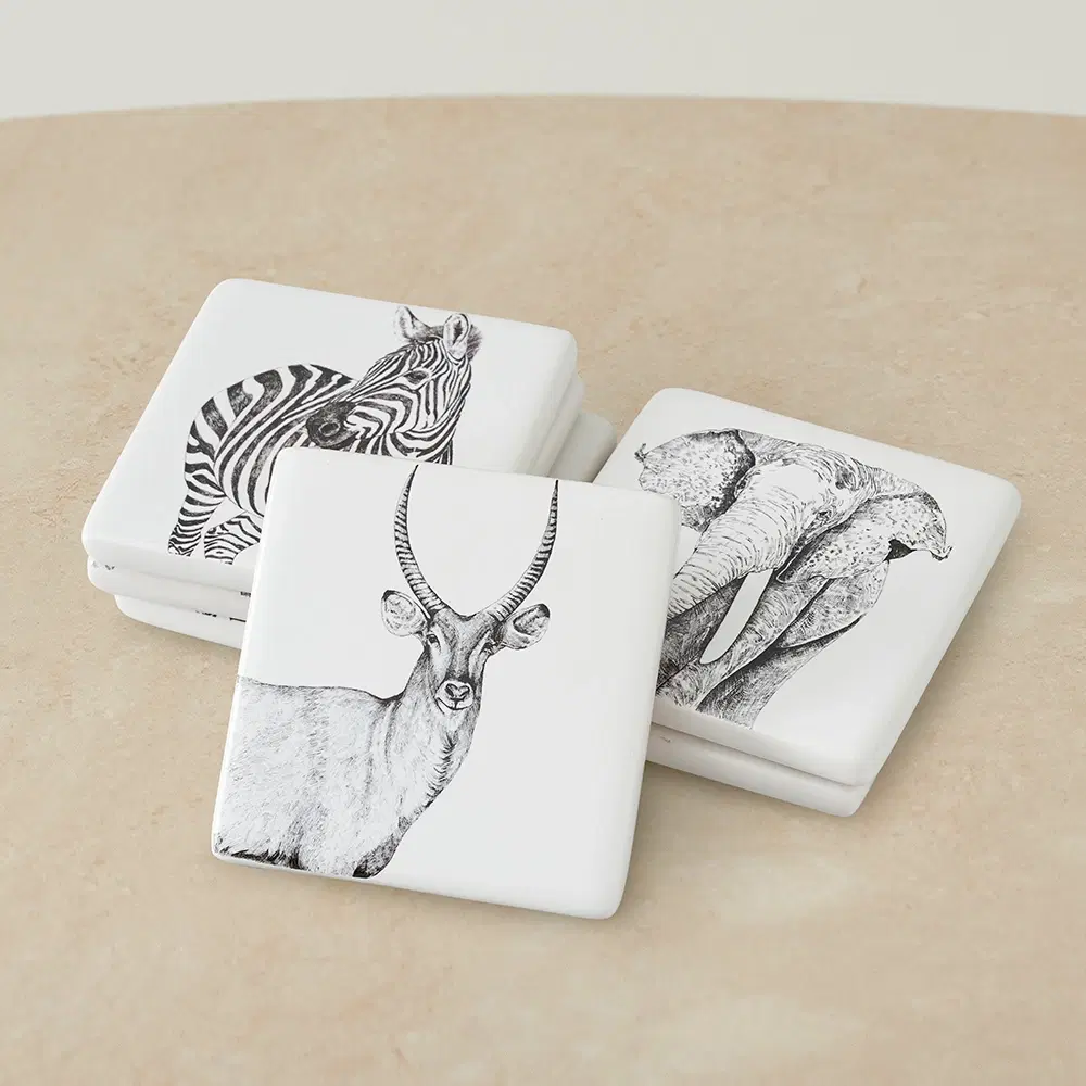 Savannah Coaster Set of 6 