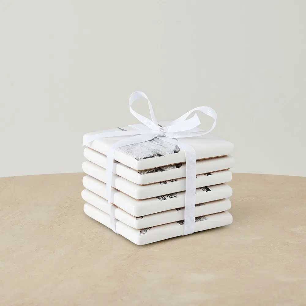 Savannah Coaster Set of 6 