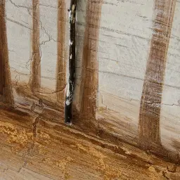 Wilderness Painting 