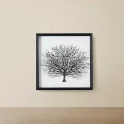 Black Sea Fan Shadow Box Frame