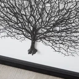 Black Sea Fan Shadow Box Frame