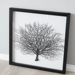 Black Sea Fan Shadow Box Frame