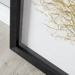 Brass Colour Sea Fan Shadow Box Frame