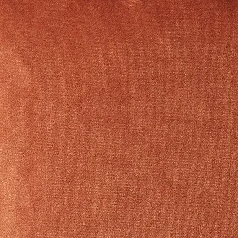 Remi Rust Velvet Cushion
