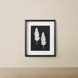 Cycas Silver Leaf Shadow Box 