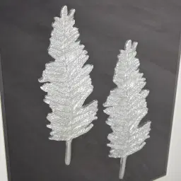 Cycas Silver Leaf Shadow Box 