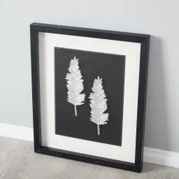 Cycas Silver Leaf Shadow Box 