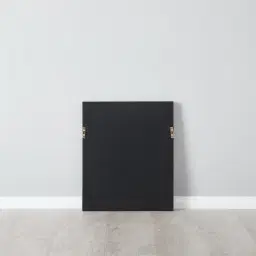 Ginkgo Silver Leaf Shadow Box 