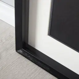 Ginkgo Silver Leaf Shadow Box 