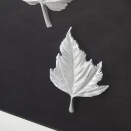 Maple Silver Leaf Shadow Box 
