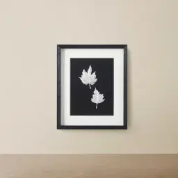 Maple Silver Leaf Shadow Box 