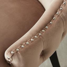 Camille II Almond Beige Velvet Dining Chair 