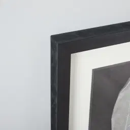 Sallow II Silver Leaf Shadow Box 