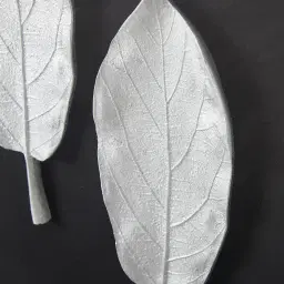 Sallow II Silver Leaf Shadow Box 