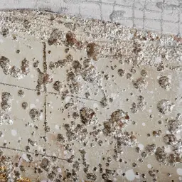 Pearl River Painting