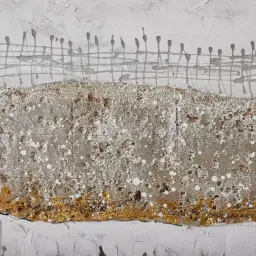 Pearl River Painting