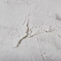 Pearl River Painting