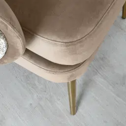 Anya Beige Velvet with Back Pattern Occasional Chair