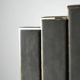 Jacques Charcoal Velvet King Bed - Gold Frame