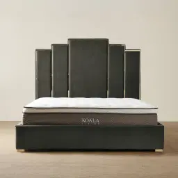 Jacques Charcoal Velvet Queen Bed - Gold Frame