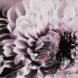 Fiore Wall Art