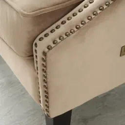 Vogue Beige Velvet Chair 