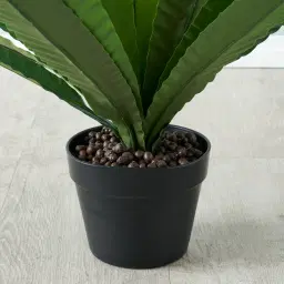 Birds Nest Fern Decorative Plant 55cm