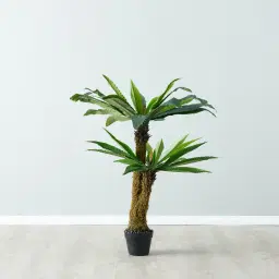 Birds Nest Fern Decorative Plant 120cm