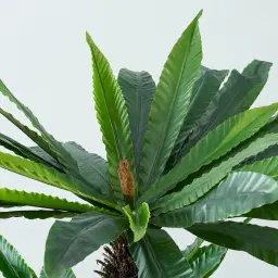 Birds Nest Fern Decorative Plant 120cm