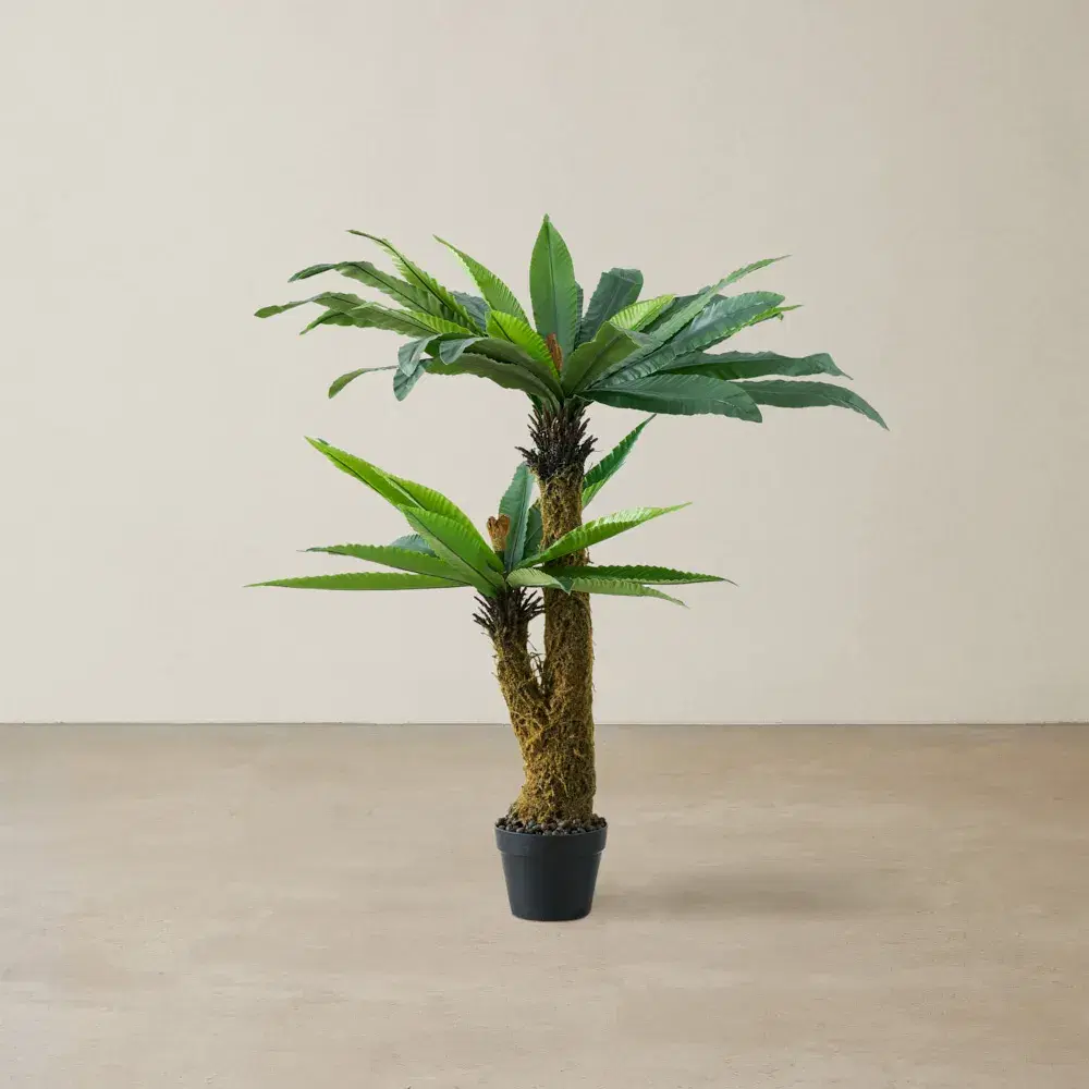 Birds Nest Fern Decorative Plant 120cm
