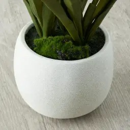 Phalaenopsis Decorative 64cm - With Planter 