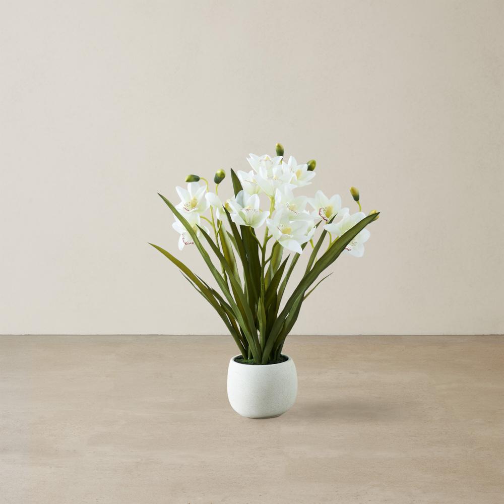 Phalaenopsis Decorative 64cm - With Planter 