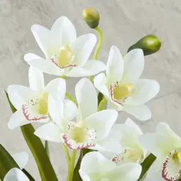 Phalaenopsis Decorative 64cm - With Planter 