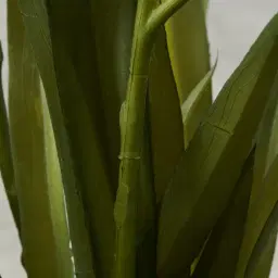 Phalaenopsis Decorative 64cm - With Planter 