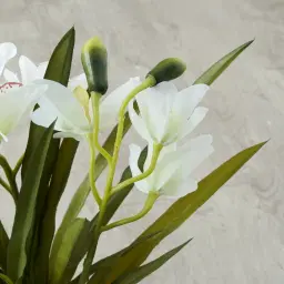 Phalaenopsis Decorative 64cm - With Planter 