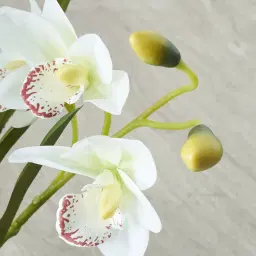 Phalaenopsis Decorative 64cm - With Planter 