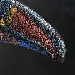 Toucan Painting 