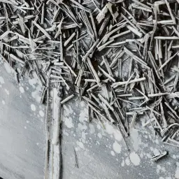Dandelion Painting 