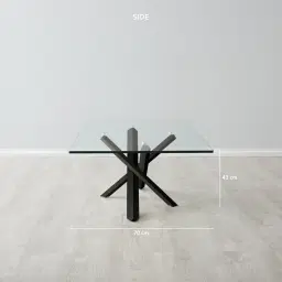 Lola Black Coffee Table  - Glass Top