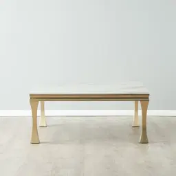 Melody Marble Coffee Table - Brushed Champagne Gold Legs