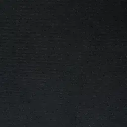 Roosevelt Black Velvet Occasional Chair