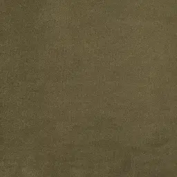 Gertrude Olive Green Velvet Queen Bed - Brushed Champagne Gold Stainless Steel Frame