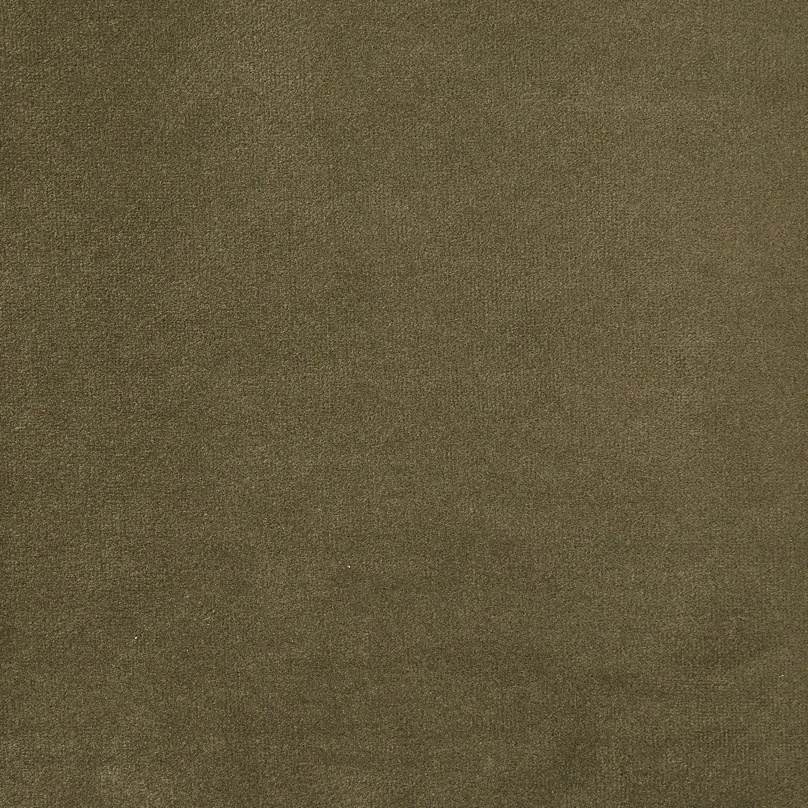 Gertrude Olive Green Velvet Queen Bed - Brushed Champagne Gold Stainless Steel Frame