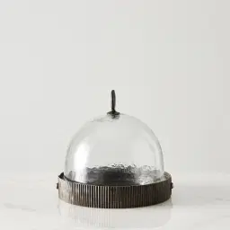 Candice Clear Glass Gilded Dark Bronze Corrugated Cloche
