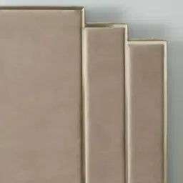 Jacques Beige Velvet King Bed-Brushed Champagne Gold Frame