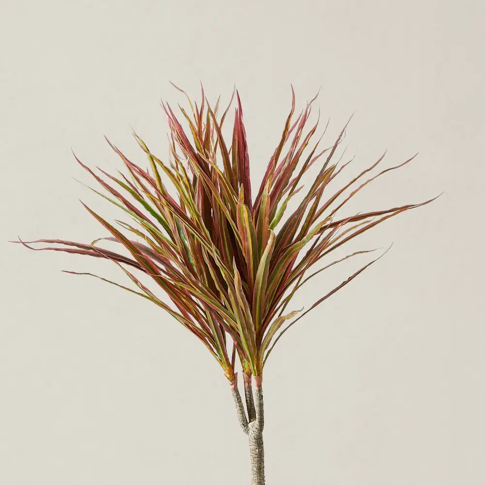 130cm Marginata Red Dracaena Decorative Plant With Pot