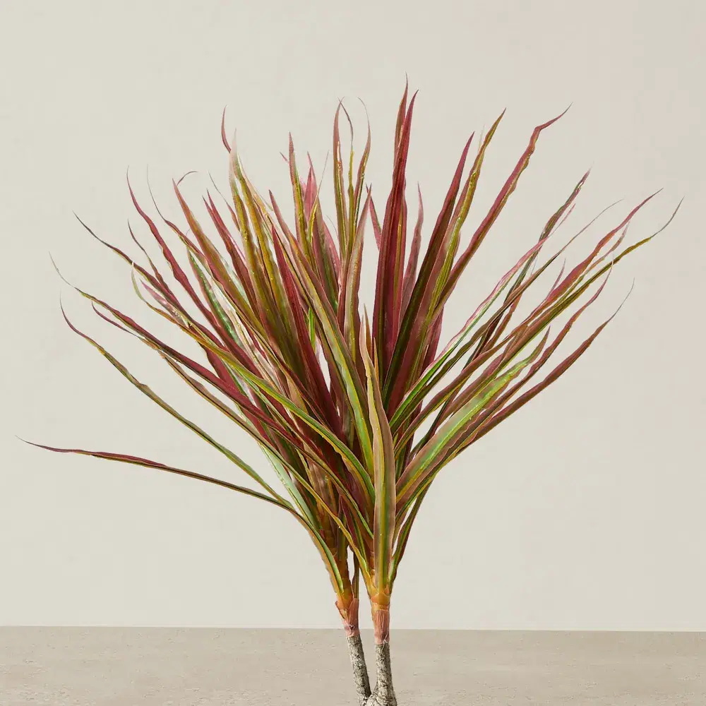 65cm Marginata Red Dracaena Decorative Plant With Pot