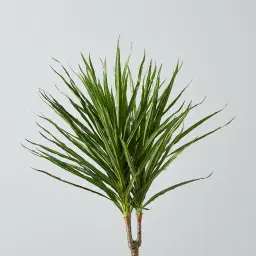 95cm Marginata Green Dracaena Decorative Plant With Pot