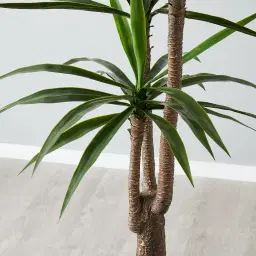 180cm Yucca Decorative Plant with Pot