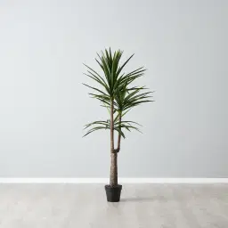 180cm Yucca Decorative Plant with Pot